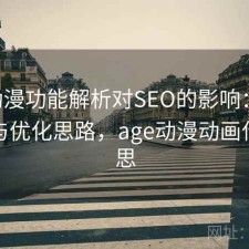 age动漫功能解析对SEO的影响：如何使用与优化思路，age动漫动画什么意思