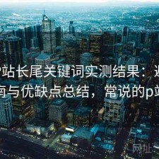 正规P站长尾关键词实测结果：避坑指南与优缺点总结，常说的p站