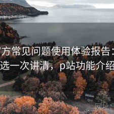 P站官方常见问题使用体验报告：怎么选一次讲清，p站功能介绍