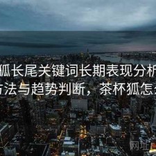 茶杯狐长尾关键词长期表现分析：优化方法与趋势判断，茶杯狐怎么看