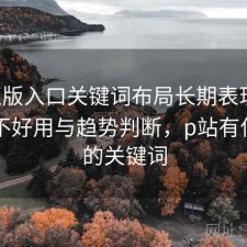 P站正版入口关键词布局长期表现分析：好不好用与趋势判断，p站有什么好的关键词
