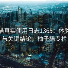 柚子猫真实使用日志1365：体验变化与关键结论，柚子猫专栏