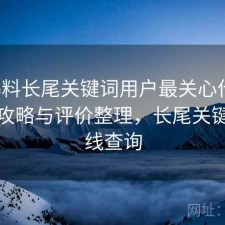 51爆料长尾关键词用户最关心什么？完整攻略与评价整理，长尾关键词在线查询