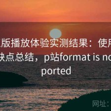 P站正版播放体验实测结果：使用技巧与优缺点总结，p站format is not supported