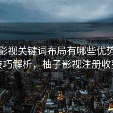 柚子影视关键词布局有哪些优势与使用技巧解析，柚子影视注册收费吗