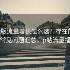 P站正版流量增长怎么选？存在的问题与常见问题汇总，p站流量播放