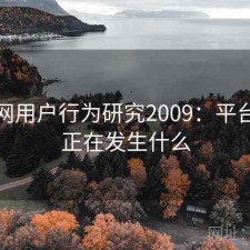 海角网用户行为研究2009：平台生态正在发生什么