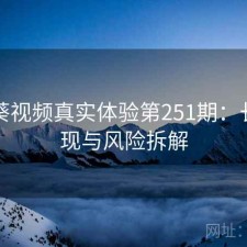 向日葵视频真实体验第251期：长期表现与风险拆解