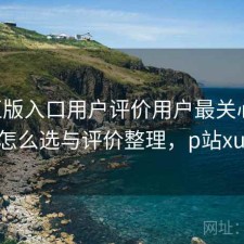 P站正版入口用户评价用户最关心什么？怎么选与评价整理，p站xude
