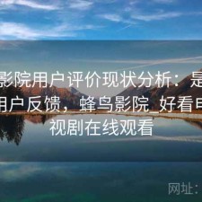 蜂鸟影院用户评价现状分析：是否值得与用户反馈，蜂鸟影院_好看电影电视剧在线观看
