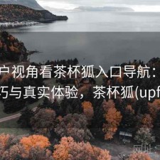 从用户视角看茶杯狐入口导航：使用技巧与真实体验，茶杯狐(upfox)