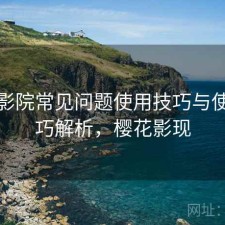 樱花影院常见问题使用技巧与使用技巧解析，樱花影现