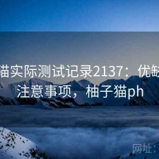 柚子猫实际测试记录2137：优缺点与注意事项，柚子猫ph