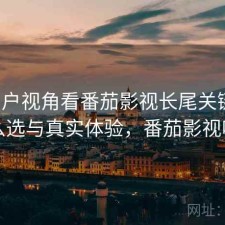 从用户视角看番茄影视长尾关键词：怎么选与真实体验，番茄影视咋样
