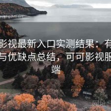 可可影视最新入口实测结果：有哪些优势与优缺点总结，可可影视服务器端
