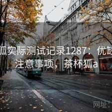 茶杯狐实际测试记录1287：优缺点与注意事项，茶杯狐a