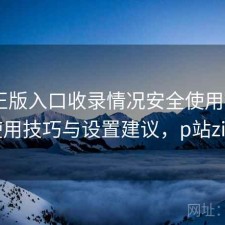 P站正版入口收录情况安全使用指南：使用技巧与设置建议，p站zilv