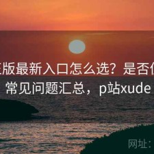 P站正版最新入口怎么选？是否值得与常见问题汇总，p站xude