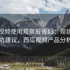 西瓜视频使用观察报告13：现状分析与避坑建议，西瓜视频产品分析报告