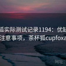 茶杯狐实际测试记录1194：优缺点与注意事项，茶杯狐cupfoxa