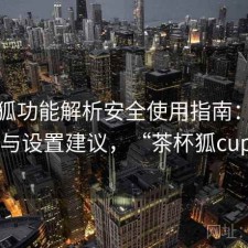 茶杯狐功能解析安全使用指南：注意事项与设置建议，“茶杯狐cupfox”