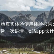 P站正版真实体验使用体验报告：有哪些优势一次讲清，p站app长什么样