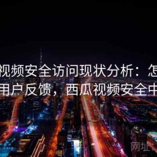 西瓜视频安全访问现状分析：怎么选与用户反馈，西瓜视频安全中心