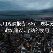 P站使用观察报告1667：现状分析与避坑建议，p站的使用