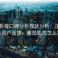番茄影视口碑分析现状分析：注意事项与用户反馈，番茄影视怎么挣钱