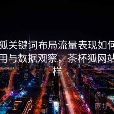 茶杯狐关键词布局流量表现如何？如何使用与数据观察，茶杯狐网站怎么样