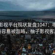 柚子影视平台现状复盘1047：哪些问题最容易被忽略，柚子影视客户端