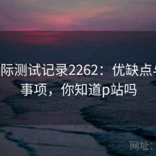 P站实际测试记录2262：优缺点与注意事项，你知道p站吗
