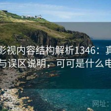 可可影视内容结构解析1346：真实情况与误区说明，可可是什么电影