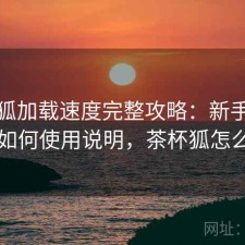 茶杯狐加载速度完整攻略：新手必看的如何使用说明，茶杯狐怎么用