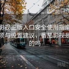 番茄影视正版入口安全使用指南：注意事项与设置建议，番茄影视是正规的吗