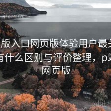 P站正版入口网页版体验用户最关心什么？有什么区别与评价整理，p站电脑网页版