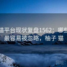 柚子猫平台现状复盘1562：哪些问题最容易被忽略，柚子 猫