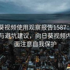 向日葵视频使用观察报告1587：现状分析与避坑建议，向日葵视频内容全面注意自我保护
