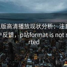P站正版高清播放现状分析：注意事项与用户反馈，p站format is not supported