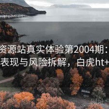 白虎资源站真实体验第2004期：长期表现与风险拆解，白虎ht+