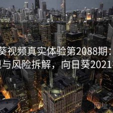 向日葵视频真实体验第2088期：长期表现与风险拆解，向日葵2021视频