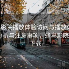 蜂鸟影院播放体验访问与播放体验：实测分析与注意事项，蜂鸟影院 rmvb 下载