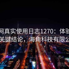 海角网真实使用日志1270：体验变化与关键结论，海角科技有限公司