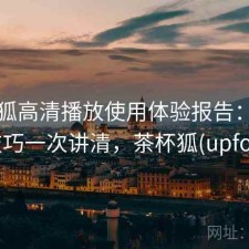 茶杯狐高清播放使用体验报告：使用技巧一次讲清，茶杯狐(upfox)