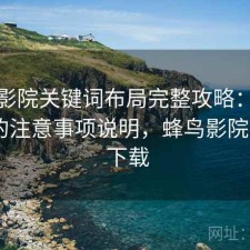 蜂鸟影院关键词布局完整攻略：新手必看的注意事项说明，蜂鸟影院 rmvb 下载