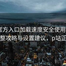 P站官方入口加载速度安全使用指南：完整攻略与设置建议，p站正常