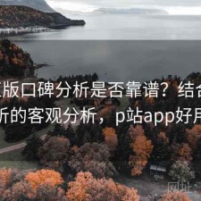 P站正版口碑分析是否靠谱？结合实测分析的客观分析，p站app好用吗