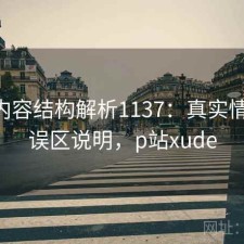 P站内容结构解析1137：真实情况与误区说明，p站xude