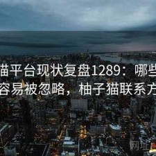 柚子猫平台现状复盘1289：哪些问题最容易被忽略，柚子猫联系方式