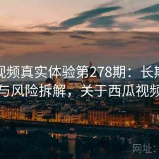 西瓜视频真实体验第278期：长期表现与风险拆解，关于西瓜视频